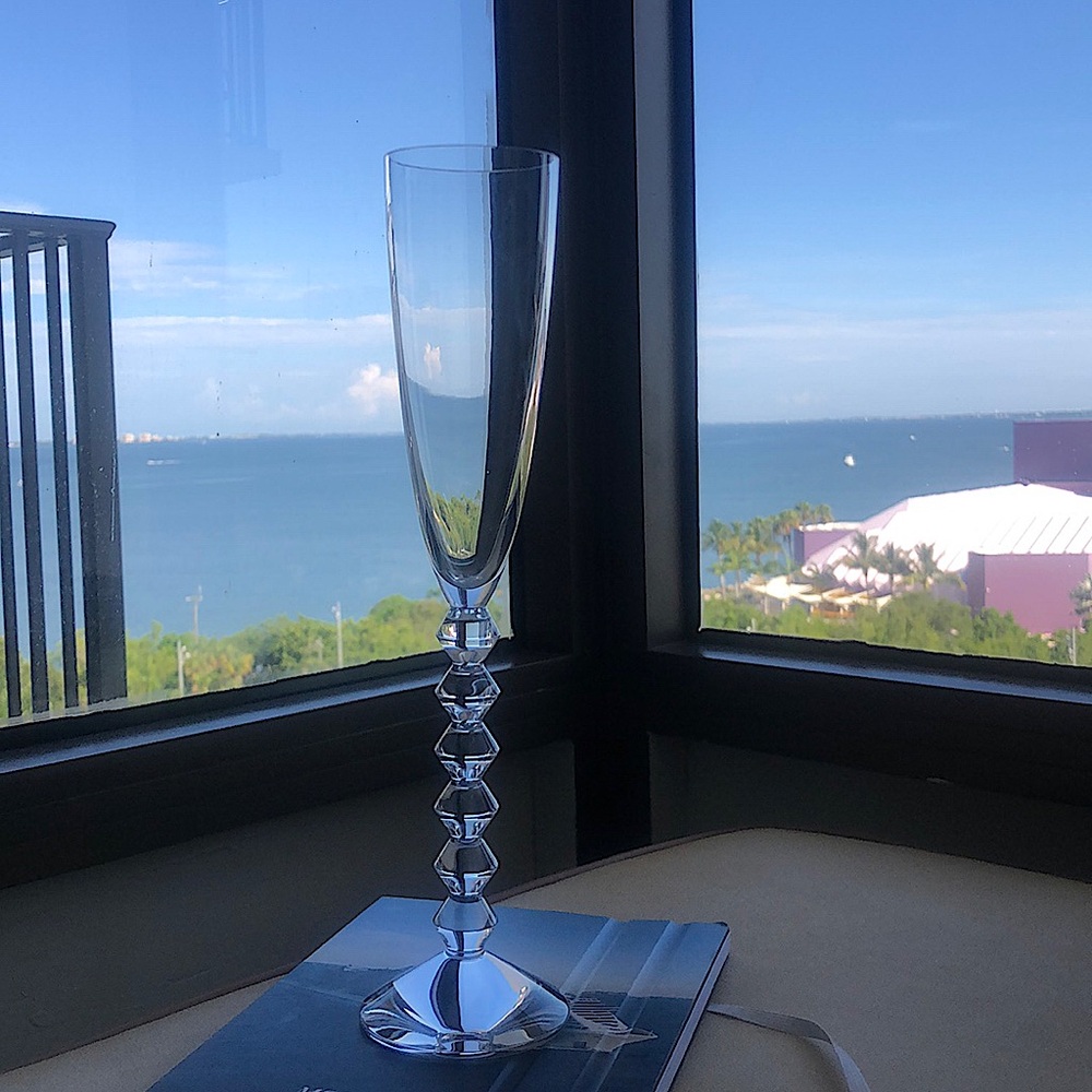 Baccarat Flawless France Vega Glass Flutissimo Crystal Champagne